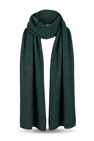 Due Amanti sjaal Fan dark green FW26